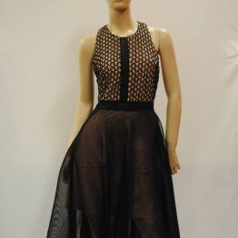 ELLIATT - Symbolic Dress, Black Netting with Nude Contrast - XL (S14) DSC_3818 .JPG (2)